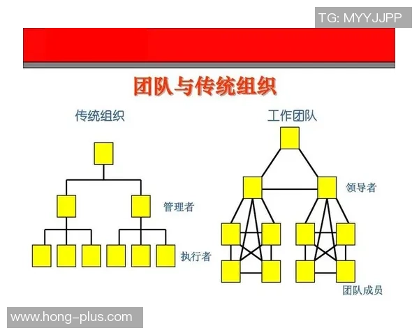 西安羽毛球队团队协作表现的数据分析与提升策略探讨 西安羽毛球队团队协作表现的数据分析与提升策略探讨